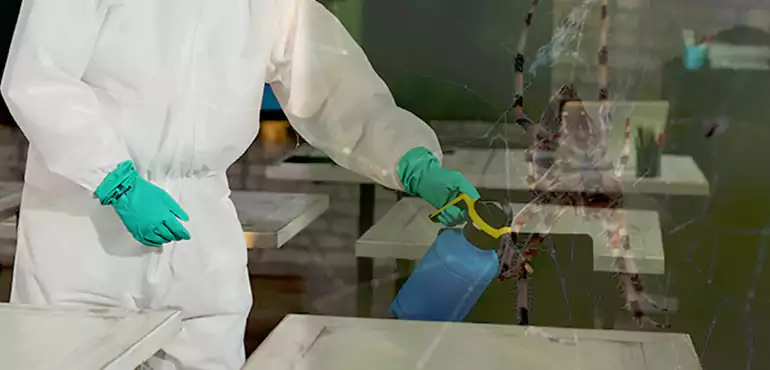 Why Buyers Still Want Homes With Pest Infestations in Denver, CO?