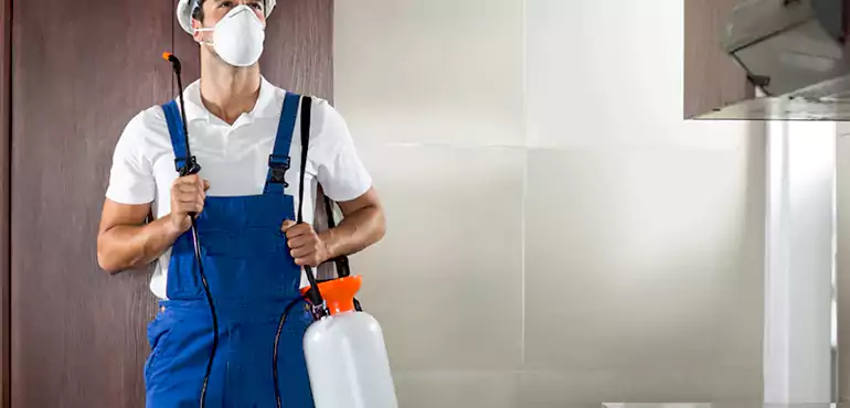 Why Denver Homeowners Choose Us When Pests Make Selling Difficult